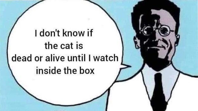 I Don't Know If the Cat Is Dead or Alive Until I Watch Inside the Box